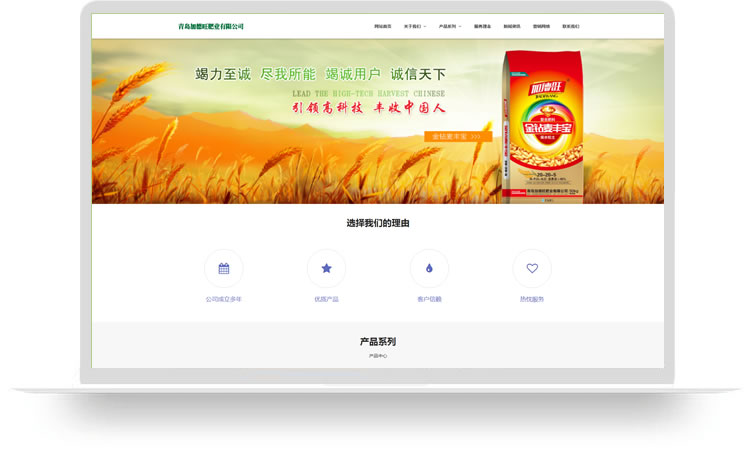肥業(yè)公司網(wǎng)站設計PC+手機網(wǎng)站設計案例