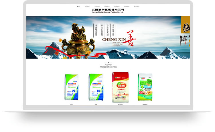 企業(yè)網(wǎng)站設計案例,手機網(wǎng)站設計案例